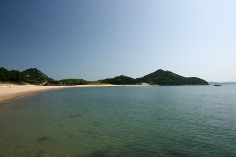 掘業島 (1/1)