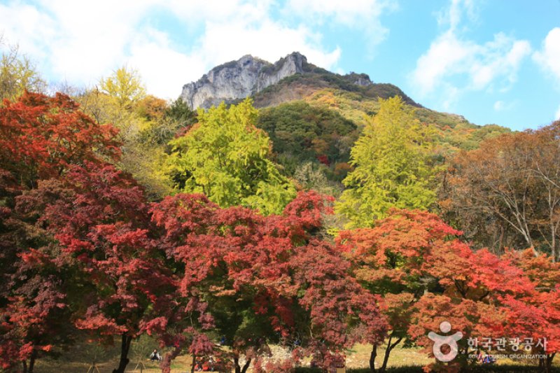 白岩山 (4/4)