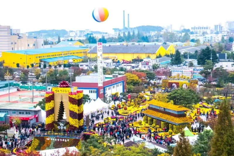 益山千万本菊祭り (5/5)