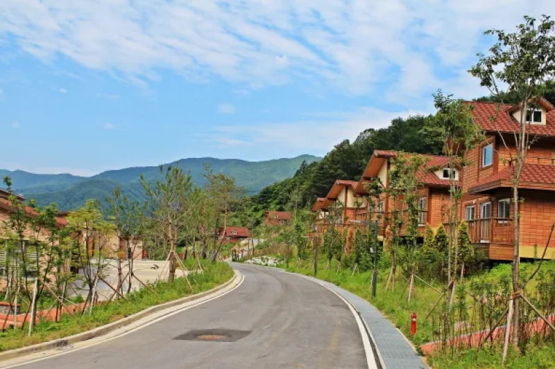 国立山林治療院（국립산림치유원） (1/13)