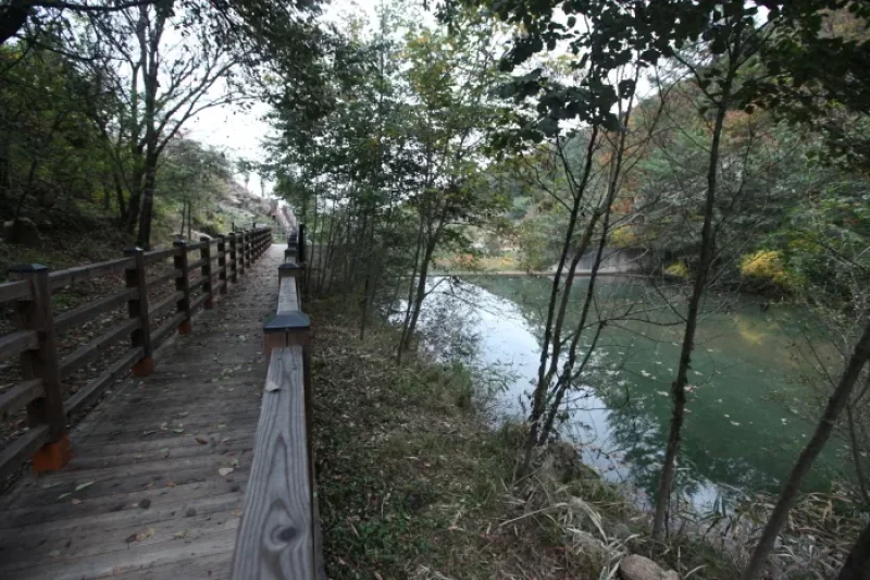 国立山林治療院（국립산림치유원） (2/13)