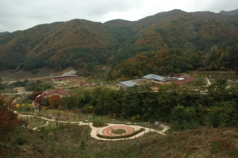 国立山林治療院（국립산림치유원） (6/13)