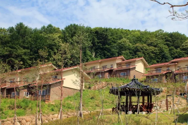 国立山林治療院（국립산림치유원） (8/13)