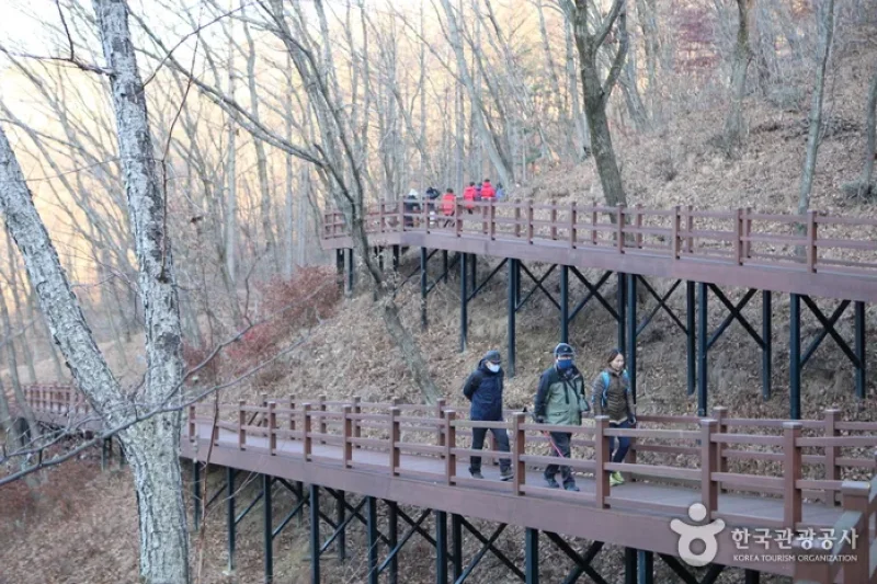 国立山林治療院（국립산림치유원） (12/13)