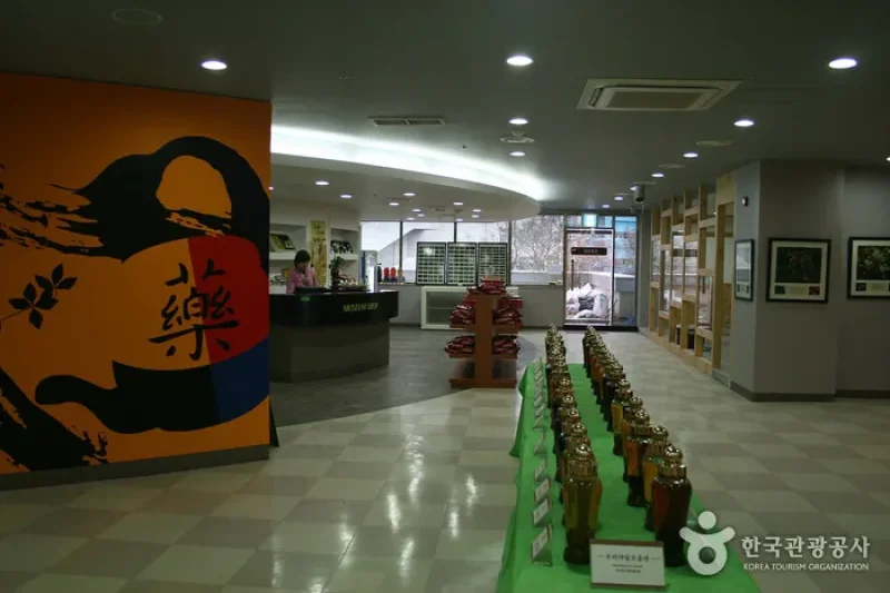 大邱薬令市韓医薬博物館 (3/16)