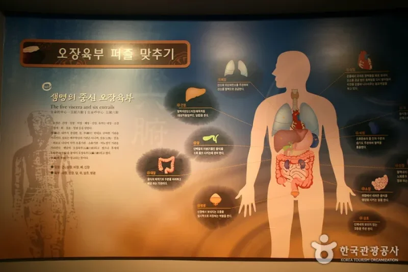 大邱薬令市韓医薬博物館 (4/16)