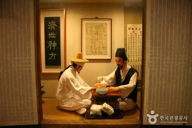 大邱薬令市韓医薬博物館 (12/16)