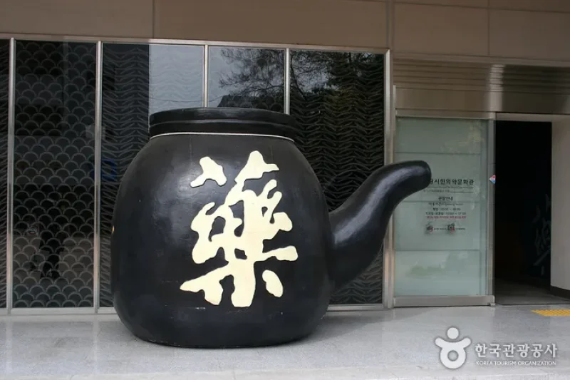 大邱薬令市韓医薬博物館 (14/16)