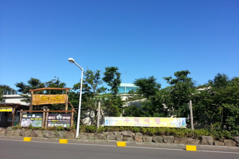メイズランド (7/7)