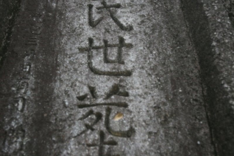 和順支石墓群遺跡[ユネスコ世界文化遺産] (10/14)
