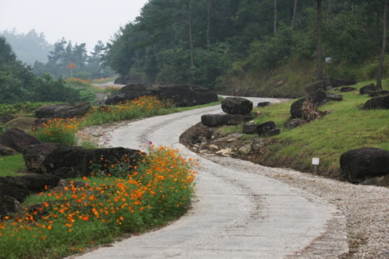 和順支石墓群遺跡[ユネスコ世界文化遺産] (11/14)
