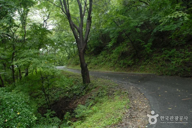 七甲山道立公園 (1/8)