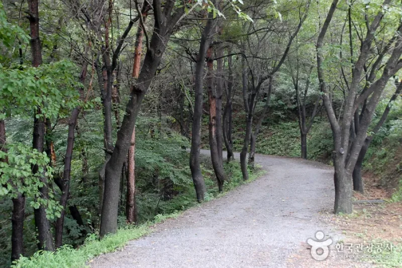 七甲山道立公園 (2/8)