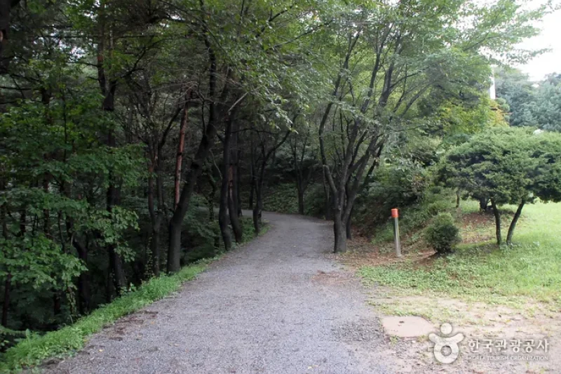 七甲山道立公園 (4/8)