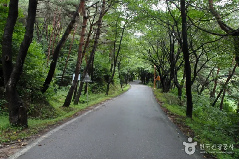 七甲山道立公園 (8/8)