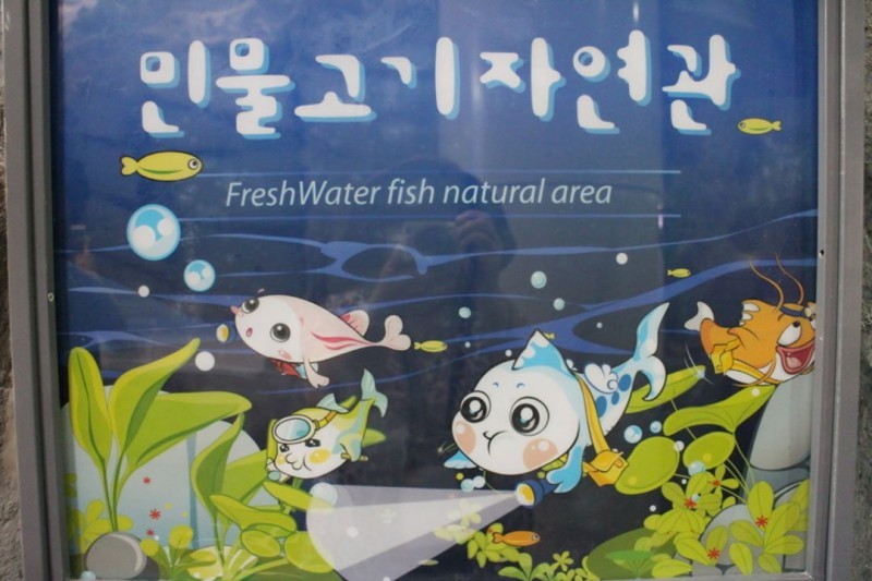 平昌東江淡水魚生態館 (6/7)