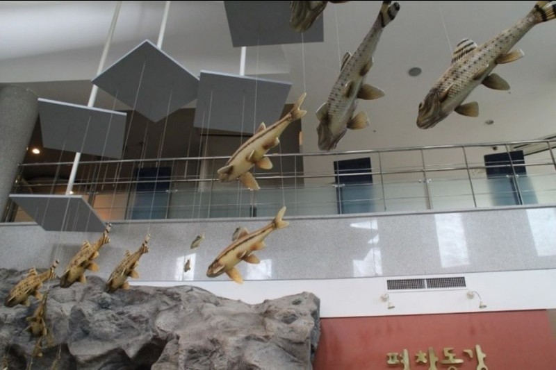 平昌東江淡水魚生態館 (7/7)
