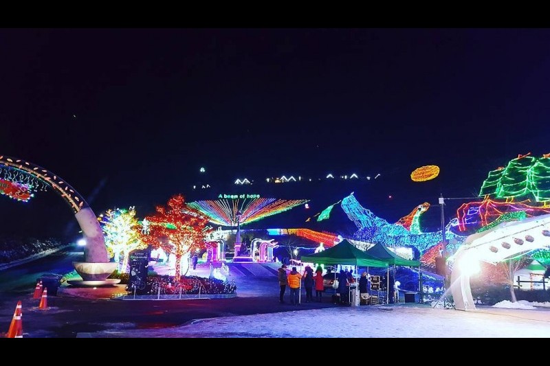 韓国お茶ソリ文化公園 (2/7)