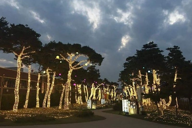 泗沘夜行 (2/7)