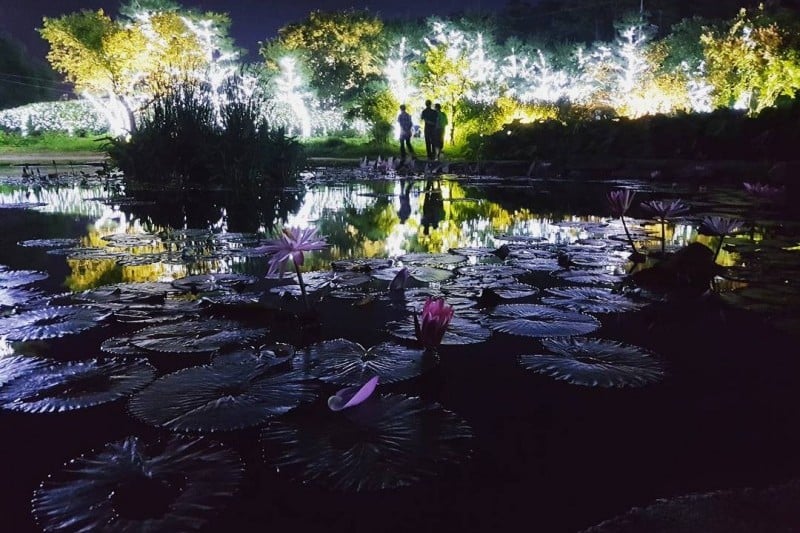 泗沘夜行 (4/7)