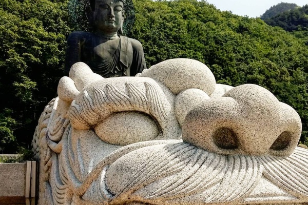 束草癒しの旅＆グルメの旅