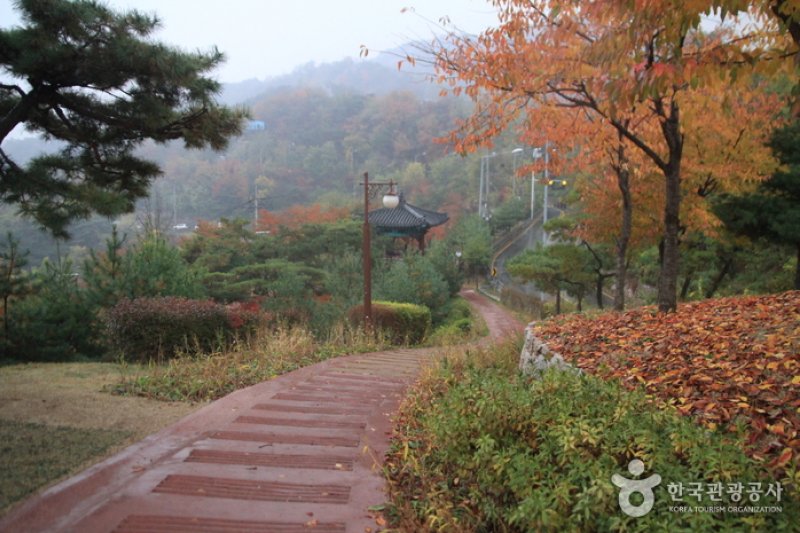 仁王山清雲公園日の出祭り (1/1)