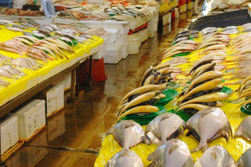 鷺梁津水産市場 (11/18)