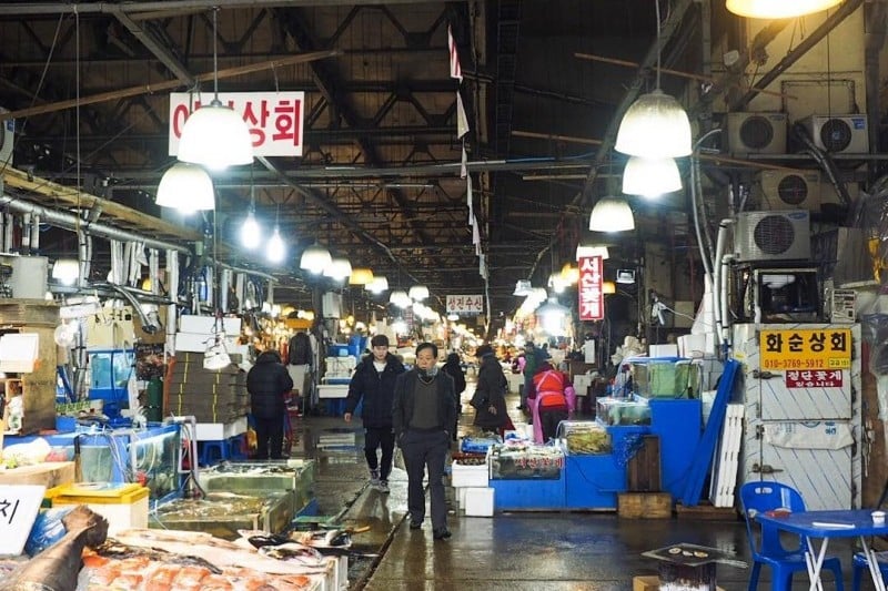 鷺梁津水産市場 (13/18)