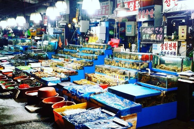 鷺梁津水産市場 (14/18)