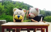 ジェイドガーデン樹木園 1日ツアー