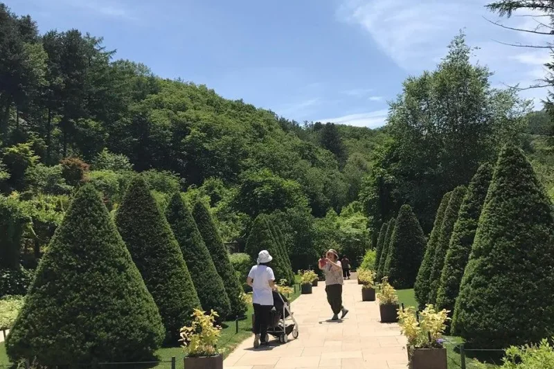 ジェイドガーデン樹木園 1日ツアー (5/6)