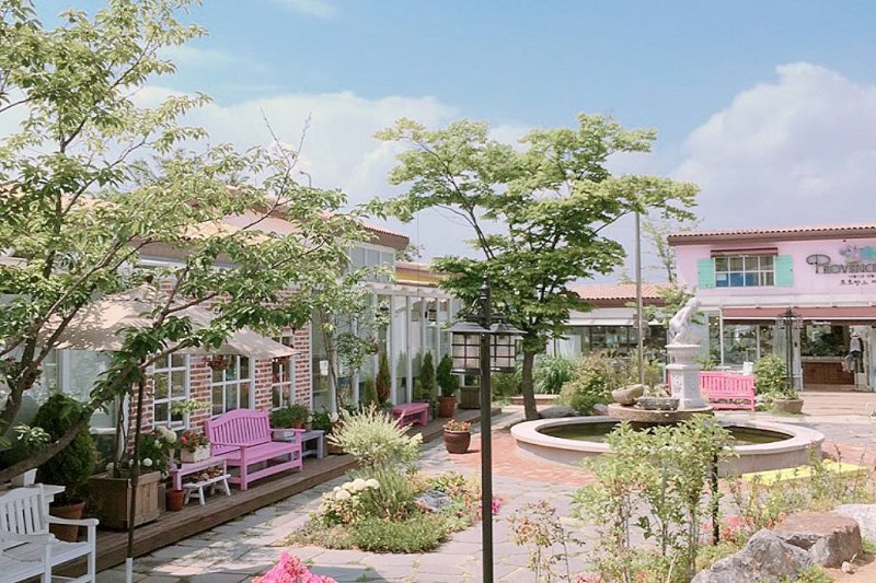 Paju One Day Tour (1/13)