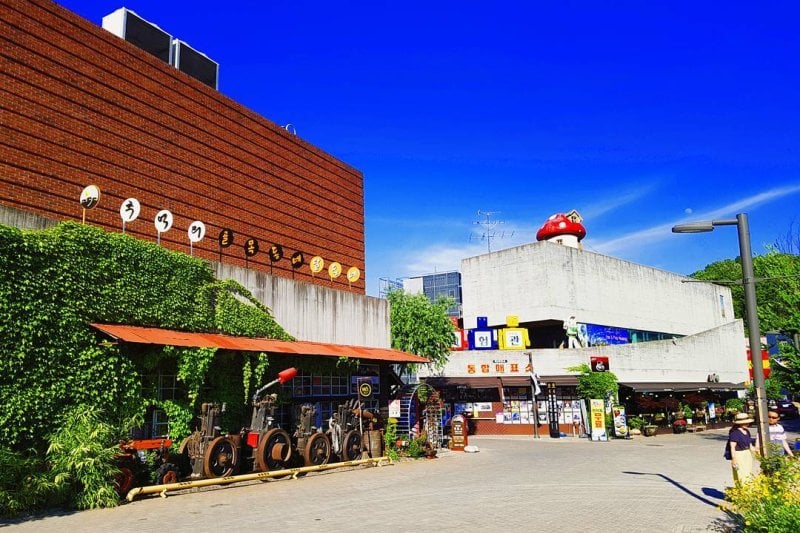 Paju One Day Tour (7/13)
