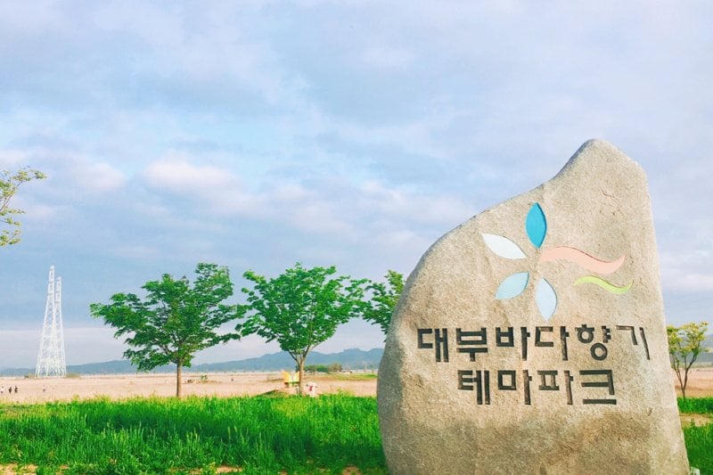 Daebudo One Day Tour (4/12)