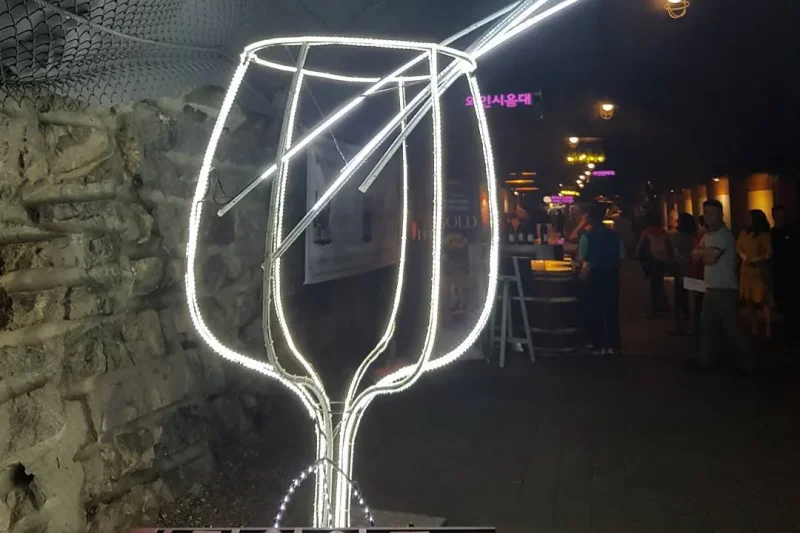 GwangMyeong One Day Tour (3/12)