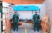 DMZ A Half Day Tour