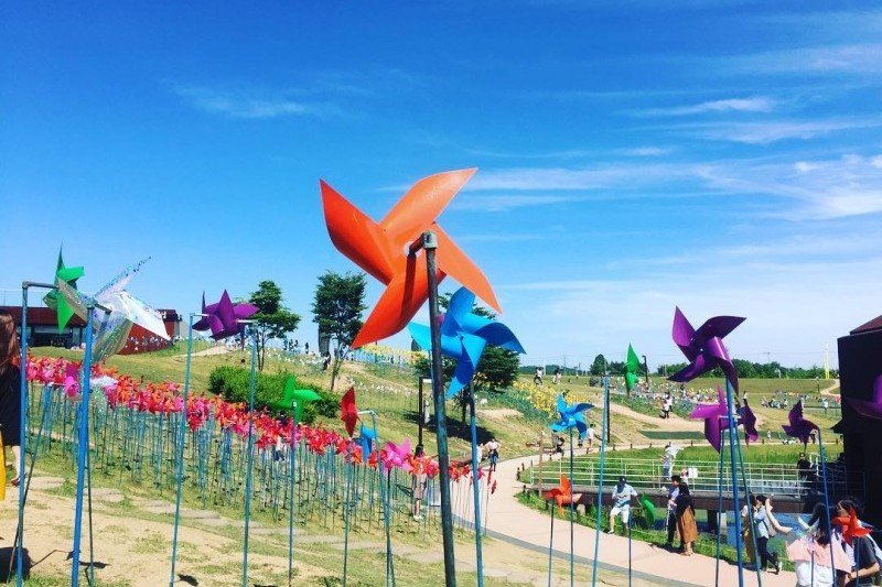 DMZ B Half Day Tour (5/7)