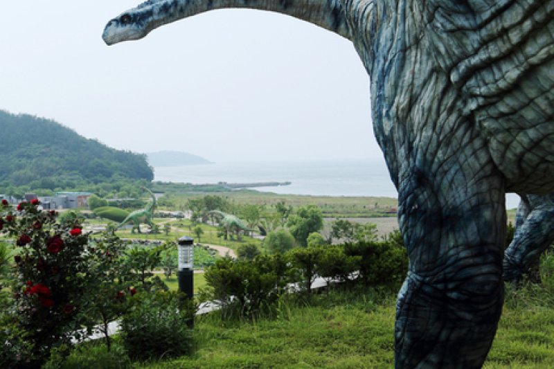 牛項里恐竜化石自然史遺跡地 (11/16)