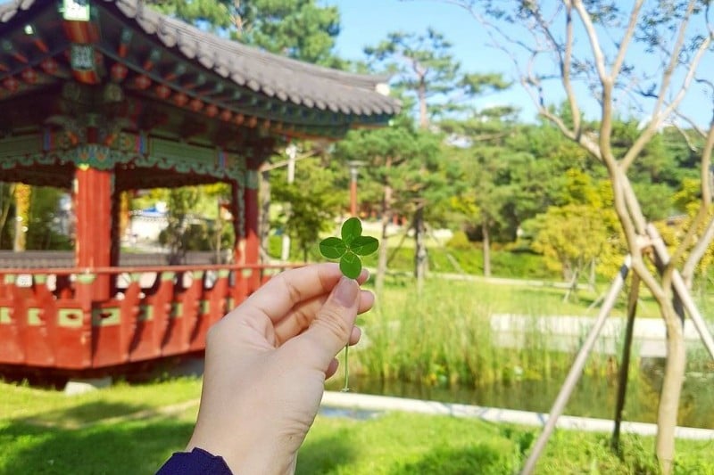 水原光教博物館 (2/6)