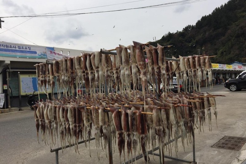 鬱陵島イカ祭り (9/17)