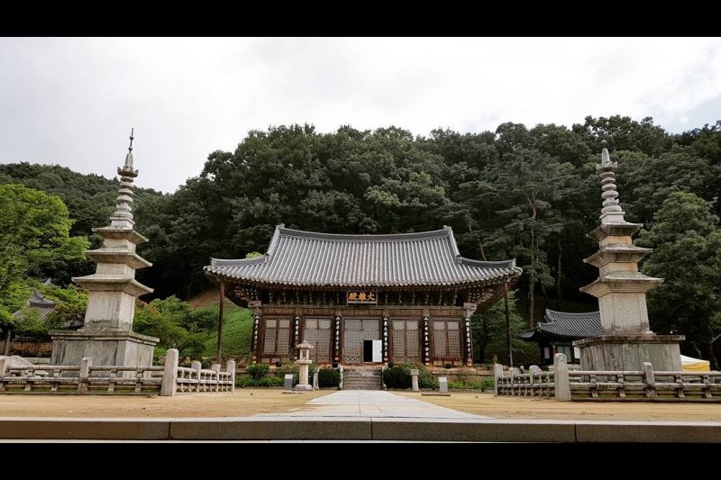 直指寺テンプルステイ (7/14)