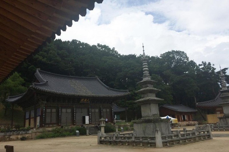 直指寺テンプルステイ (12/14)