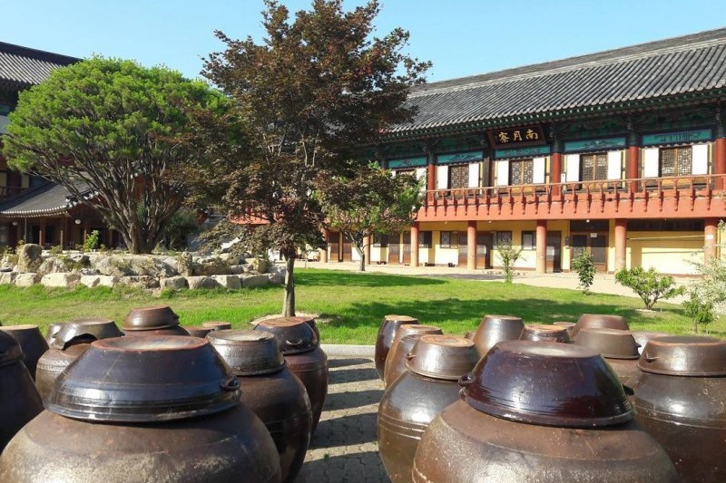 直指寺テンプルステイ (14/14)