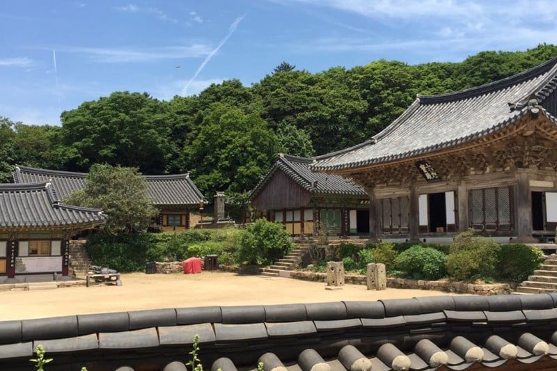 美黄寺テンプルステイ (10/11)