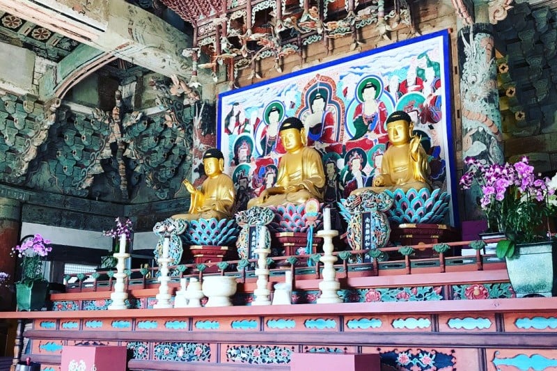 美黄寺テンプルステイ (11/11)