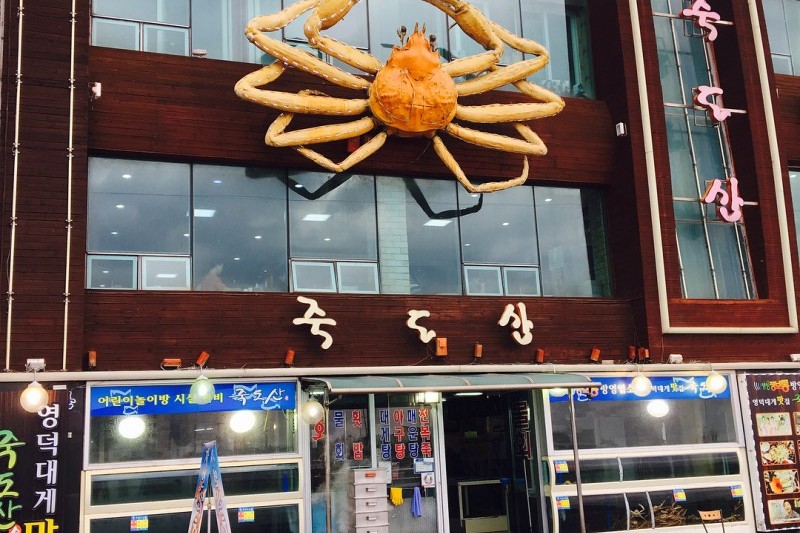 竹島山 (4/12)