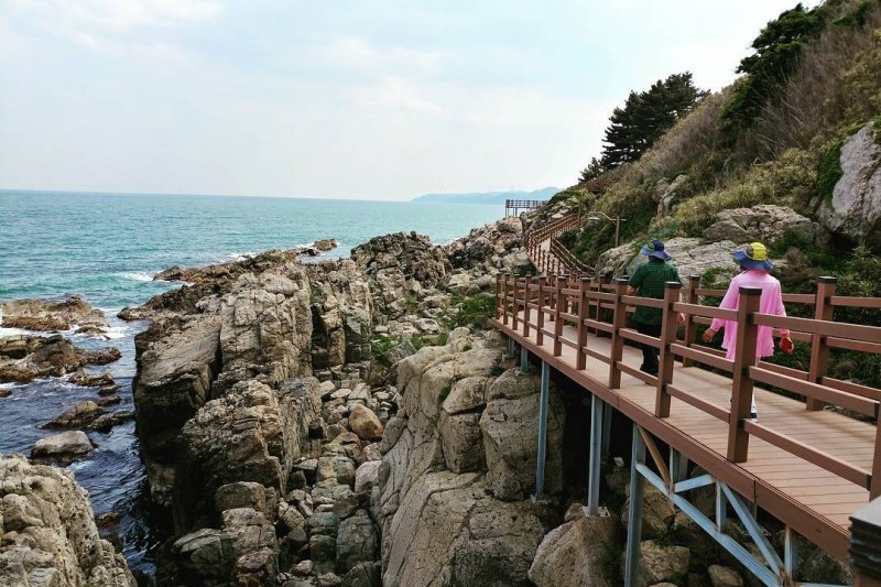 竹島山 (7/12)