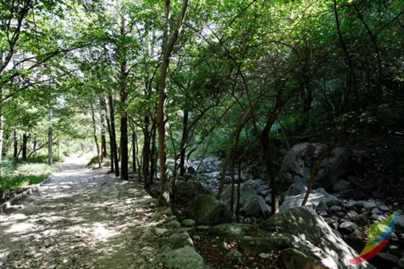 母岳山 (2/8)