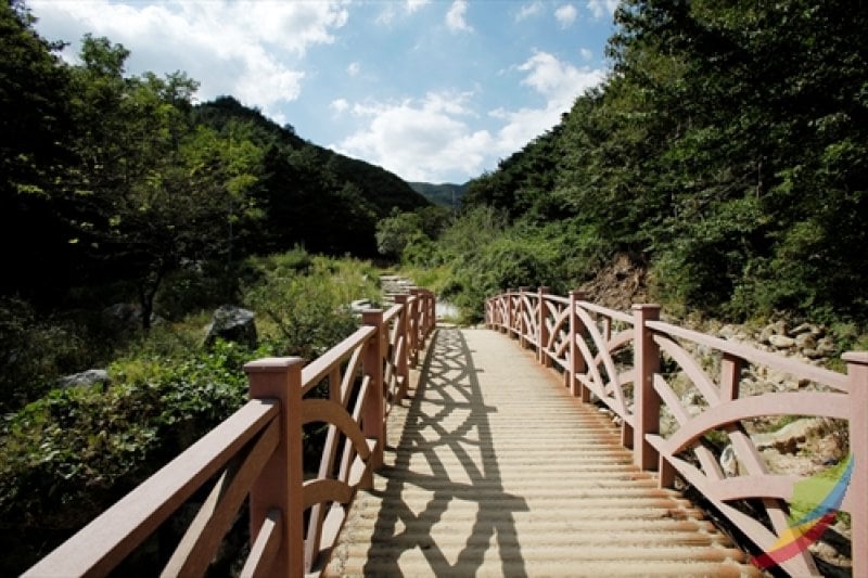 母岳山 (5/8)