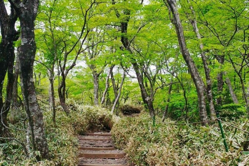漢拏山 城板岳 (8/8)